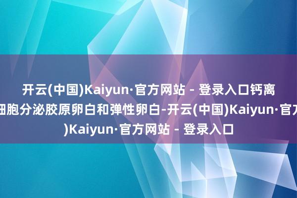 开云(中国)Kaiyun·官方网站 - 登录入口钙离子有时使成纤维细胞分泌胶原卵白和弹性卵白-开云(中国)Kaiyun·官方网站 - 登录入口