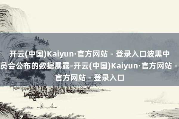 开云(中国)Kaiyun·官方网站 - 登录入口波黑中央选举委员会公布的数据暴露-开云(中国)Kaiyun·官方网站 - 登录入口